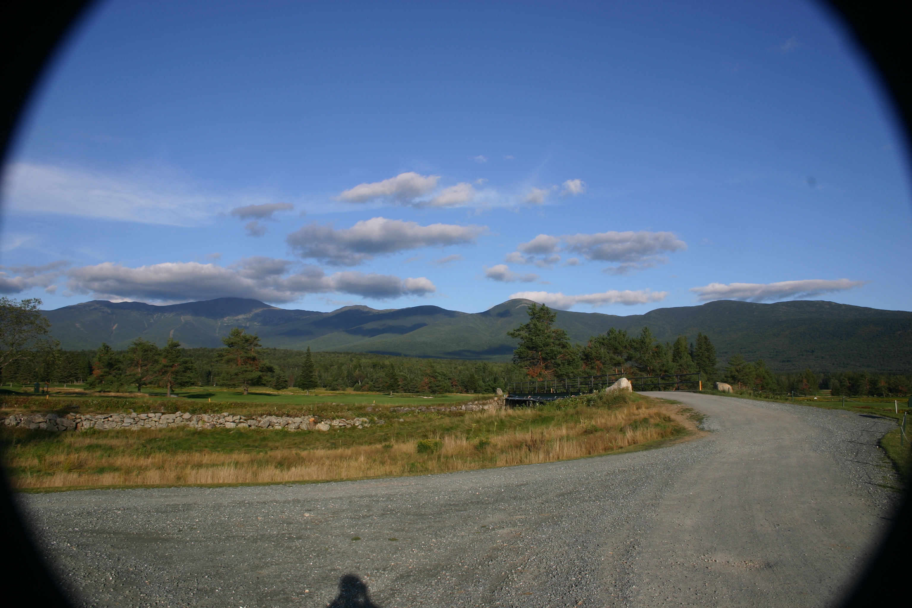 picture 17.